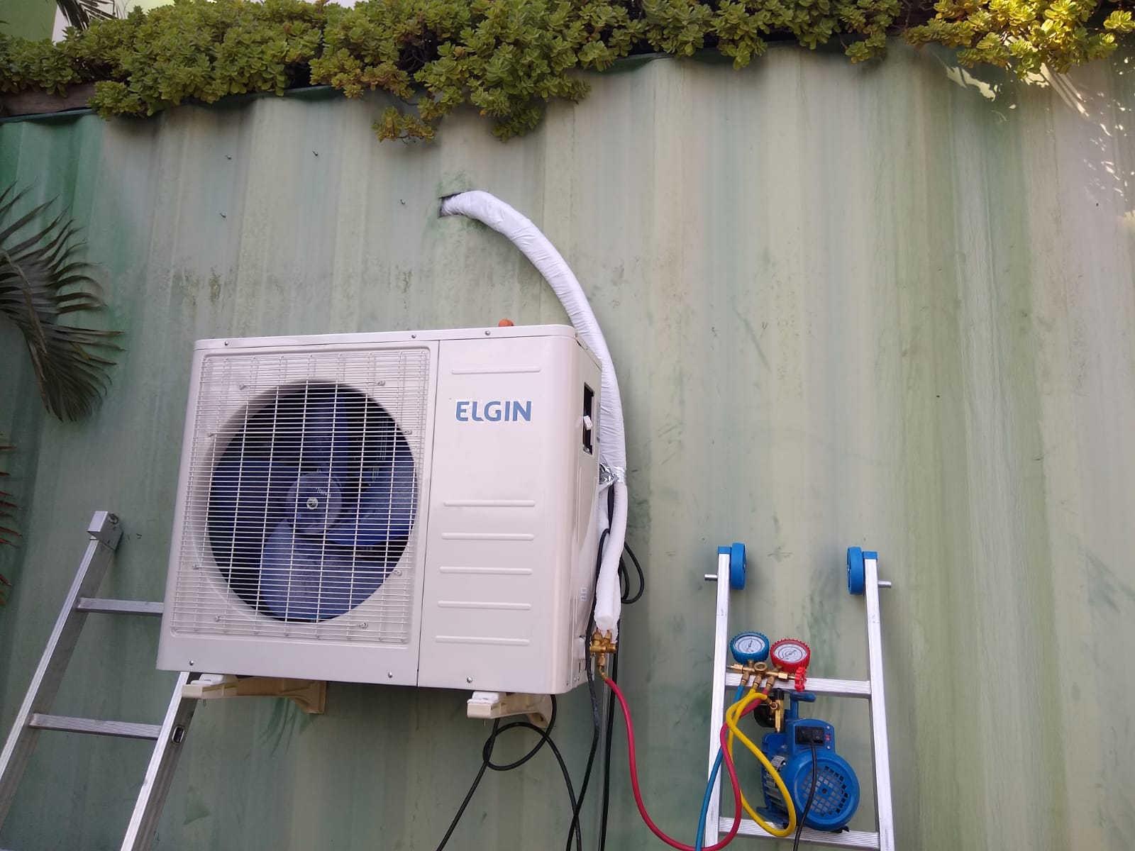 WhatsApp Image 2022-07-23 at 14.31.34.jpeg